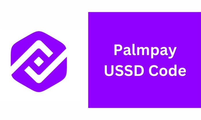 PalmPay USSD Code